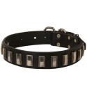 Hochwertiges Schäferhund Halsband aus Leder mit vertikalen Platten