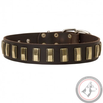 Leather Dog Collar with Small Brass Plates