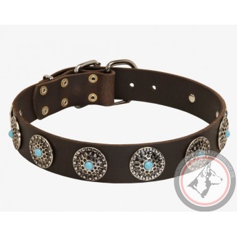 Leather Dog Collar with Silver Circles