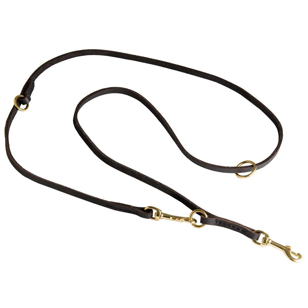 Leder Hundeleine fr Schferhund mit zwei Haken, lang und verstellbar
