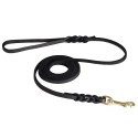 German Shepherd Leash Leather for Shows and Rings