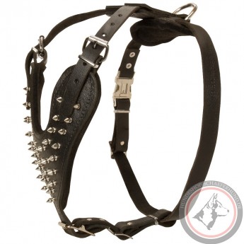 Leder Geschirr mit originellen Spikes für Schäferhund