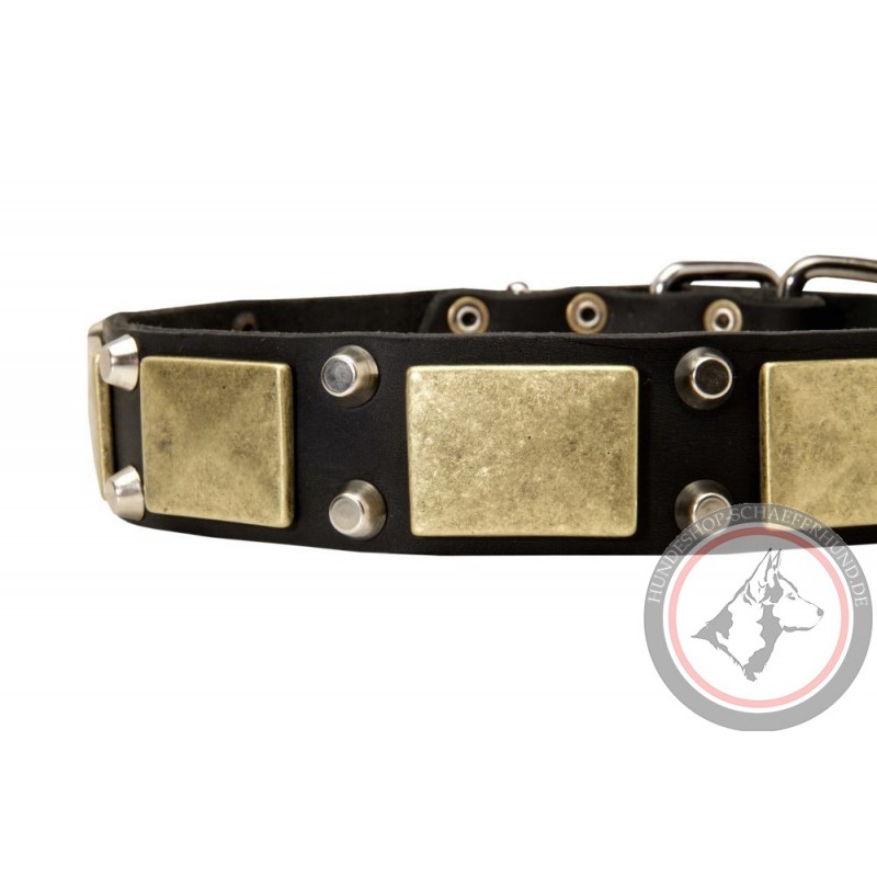 German Shepherd Collar Brass Plates And Cones Leather Hundeshop Schaeferhund De