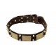 Leather Dog Collar with Brass Plates and Nickel Cones