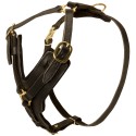 German Shepherd Harness with Large Leather Chest Plate
