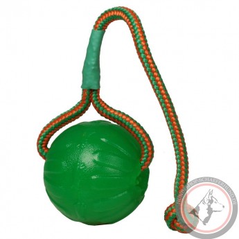 Robuster Spielball für Apportieren und Spaß mit Schäferhund