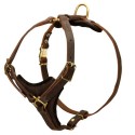 German Shepherd Harness Leather for Walking, Training