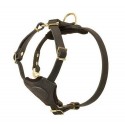 Harness for German Shepherd Puppy of Soft Leather