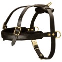 German Shepherd Harness Leather for Pulling, Tracking