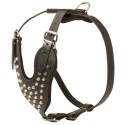 German Shepherd Harness, Leather with Nickel Cones