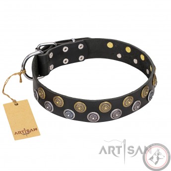 Halsband aus Leder für Schäferhund "Romantic Breeze" FDT Artisan, elegant