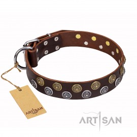 German Shepherd Dog Collar "Strong Shields" FDT Artisan, Brown