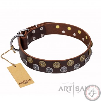 Leder Halsband für Schäferhund "Strong Shields" FDT Artisan in Braun
