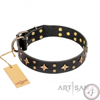 Halsband aus Leder für Schäferhund "A La Mode" FDT Artisan, wunderliches Dekor