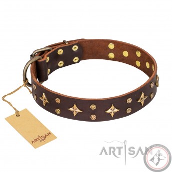 German Shepherd Collar "High Fashion" FDT Artisan, Brown Leather