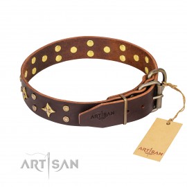 Leder Hundehalsband für Schäferhund "High Fashion" FDT Artisan, solid