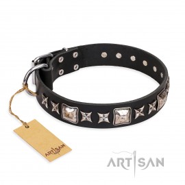 Halsband aus Leder für Schäferhund "Space Walk" FDT Artisan, klassisch