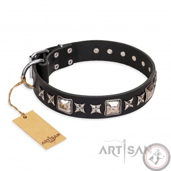 Halsband aus Leder für Schäferhund "Space Walk" FDT Artisan, klassisch