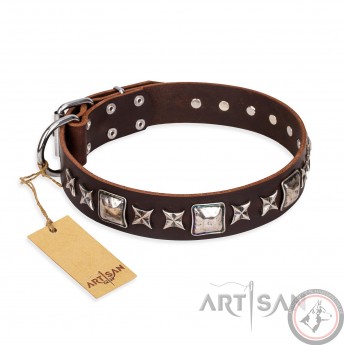 Hundehalsband Leder für Schäferhund "Perfect Impression" FDT Artisan, herrlich