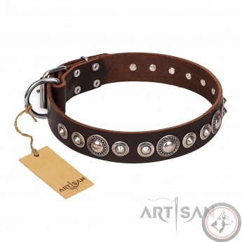 Halsband aus Leder für Schäferhund "Step and Sparkle" FDT Artisan, solid