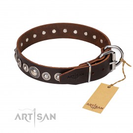 German Shepherd Collar "Step and Sparkle" FDT Artisan, Brown