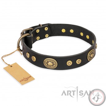 German Shepherd Collar Black Leather "Golden Radiance" Artisan