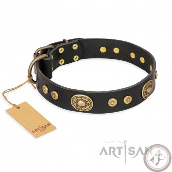 Handverziertes Halsband aus Leder für Schäferhund "Golden Radiance" FDT Artisan, prächtig