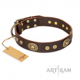 German Shepherd Collar "One-of-a-Kind" FDT Artisan Brown Leather