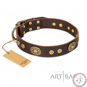 German Shepherd Collar "One-of-a-Kind" FDT Artisan Brown Leather