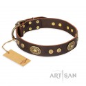 German Shepherd Collar "One-of-a-Kind" FDT Artisan Brown Leather