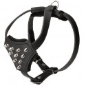 German Shepherd Puppy Harness of Leather with Spikes