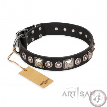 German Shepherd Collar Black Leather "Eternal Beauty and Style", Artisan