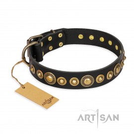 Hundehalsband Leder für Schäferhunde "Gold Mine" FDT Artisan in Schwarz, solid