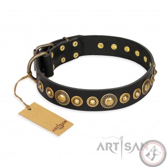 Hundehalsband Leder für Schäferhunde "Gold Mine" FDT Artisan in Schwarz, solid