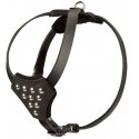 German Shepherd Puppy Harness of Leather with Studs