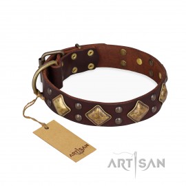 Stilvolles Hundehalsband aus Leder für Schäferhunde "Golden Square" FDT Artisan in Braun