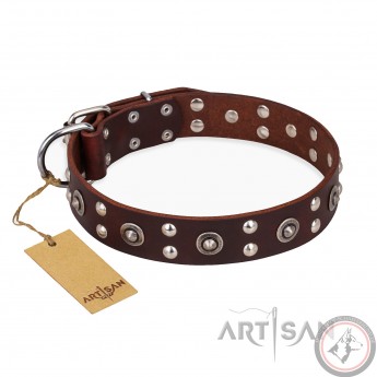 Hundehalsband aus Leder braun für Schäferhunde "Pirate Treasure" FDT Artisan, thematisches Design