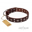 German Shepherd Dog Collar FDT Artisan "Pirate Treasure", Brown