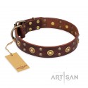 German Shepherd Collar FDT Artisan "Caprice of Fashion", Brown