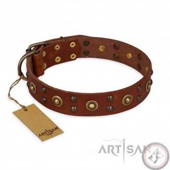 Hundehalsband aus Leder für Schäferhunde "Unfailing Charm" FDT Artisan hellbraun, extravagant