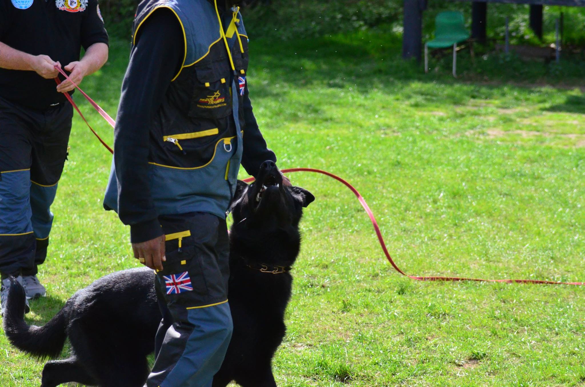 Helfer Kleidung für Schäferhund online kaufen