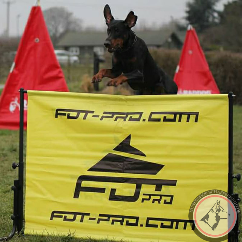 Hürde für Agility mit Hund