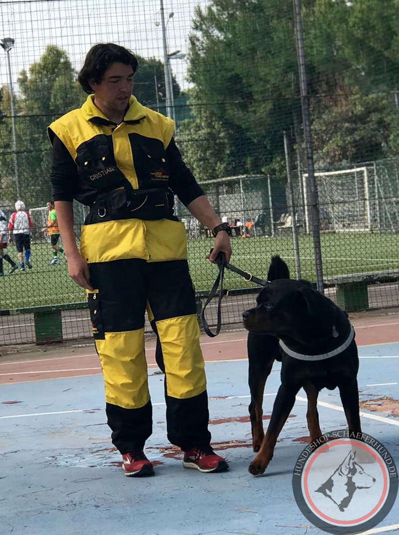 Nylon Geschir für Rottweiler kaufen