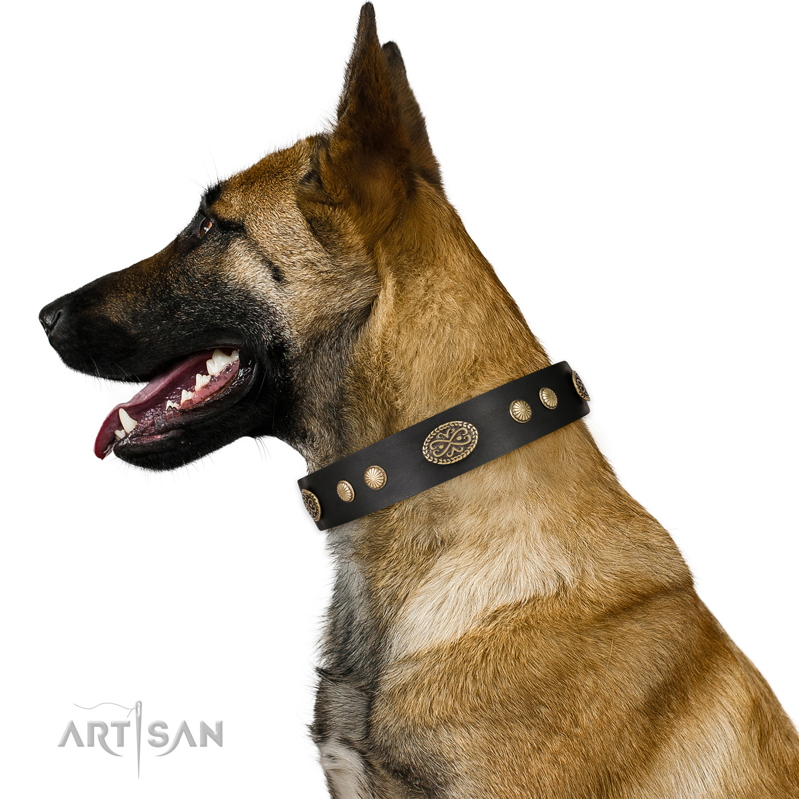 Nieten Lederhalsband für Malinois