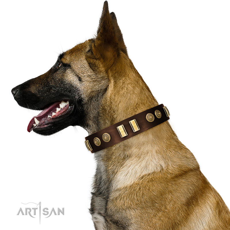 Nieten Lederhalsband in braun für Malinois