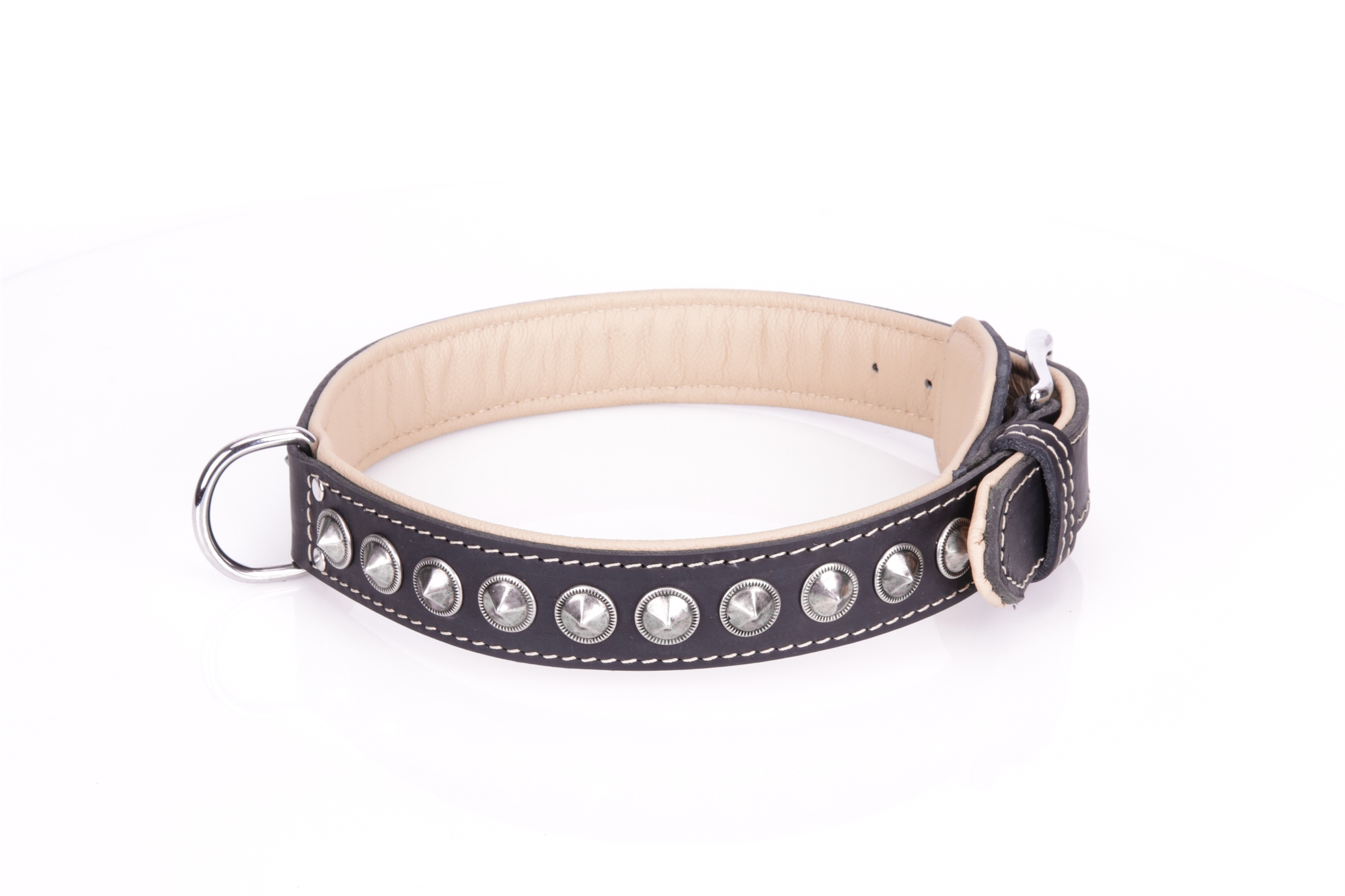 Schwarzes Halsband mit silbern Nieten