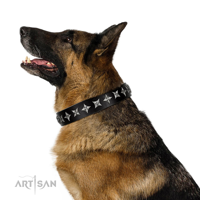 Schwarzes Lederhalsband genietet für Schäferhund 
