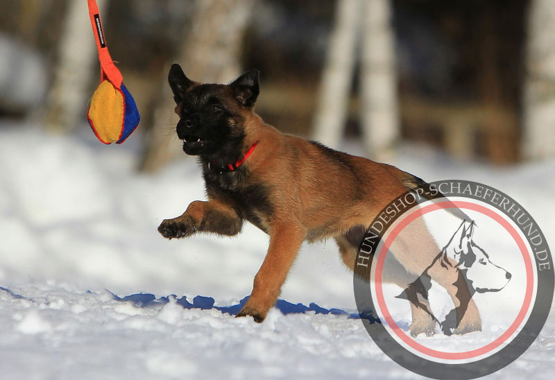 Weicher Hundeball Deutschland