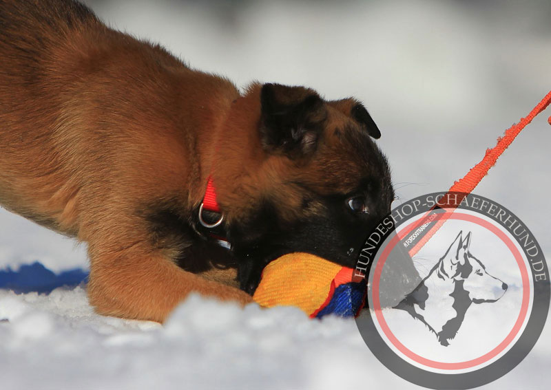 Hundespielball für Schäferhund Welpen