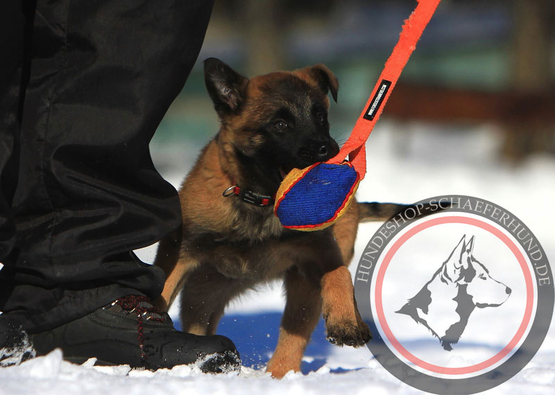 Weicher Hundeball für Welpen Deutschland